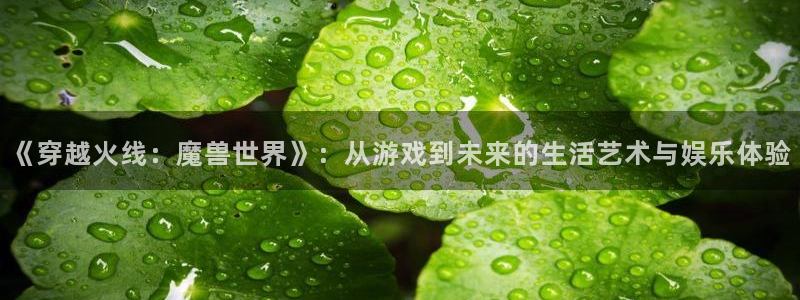 动漫共和国(omofun)官网：《穿越火线：魔兽世界》：从游戏到未来的生活艺术与娱乐体验