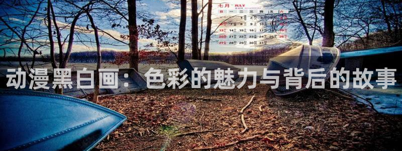 omofun动漫官方app下载：动漫黑白画：色彩的魅力与背后的故事