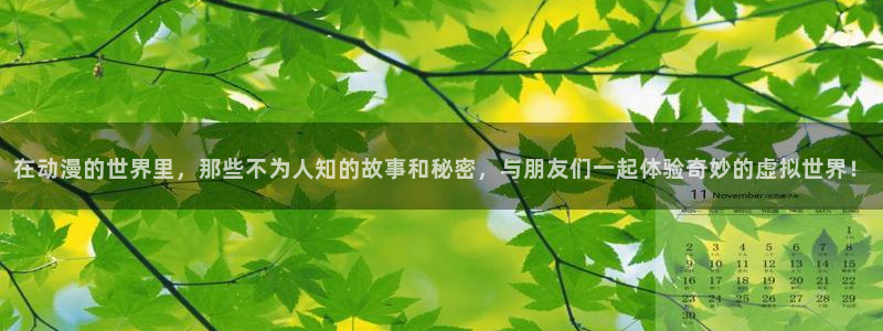 omofun动漫怎么下载：在动漫的世界里，那些不为人知的故事和秘密，与朋友们一起体验奇妙的虚拟世界！