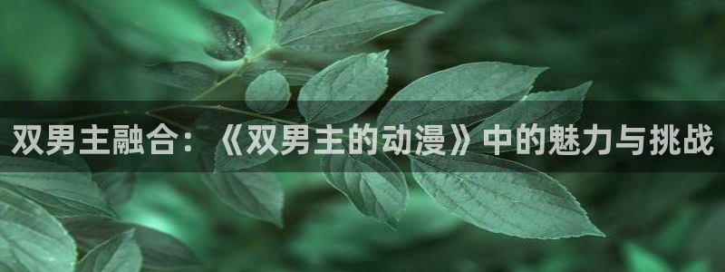 动漫omofun下载：双男主融合：《双男主的动漫》中的魅力与挑战