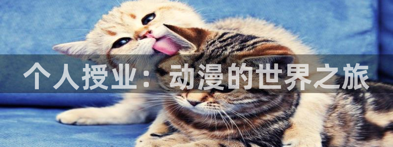 omofun动漫下载最新版：个人授业：动漫的世界之旅